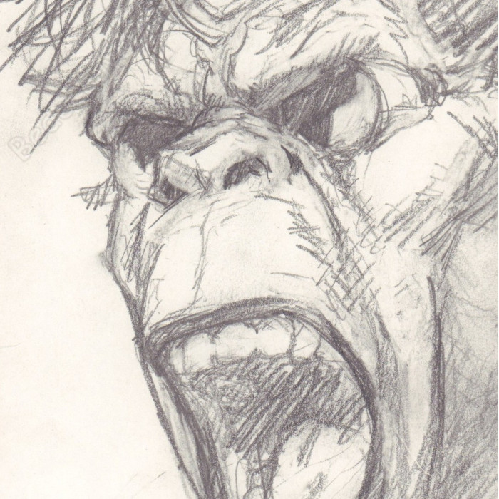 Liberatore Tanino - Dessin Original Portrait RanXerox - K