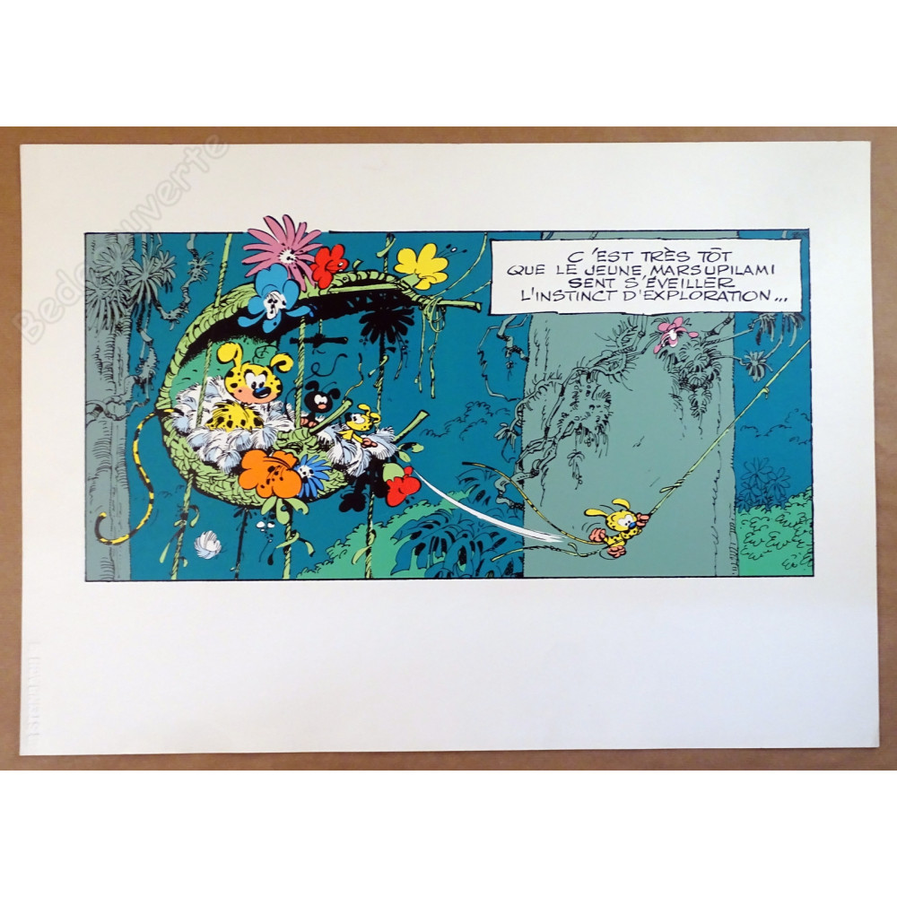 Franquin - Le Nid Du Marsupilami