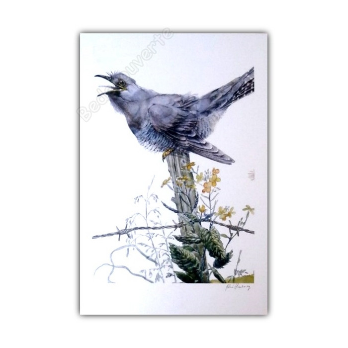 Hausman - L oiseau bleu signee