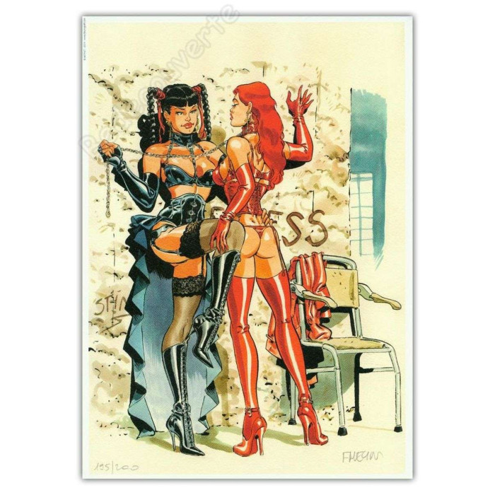 Meynet - Pin Up Latex 2014