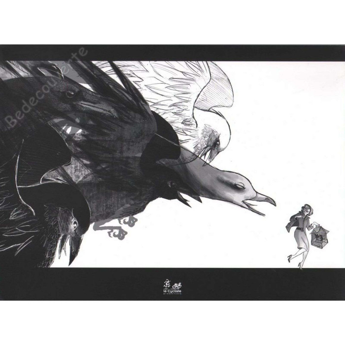 Pops - Les oiseaux