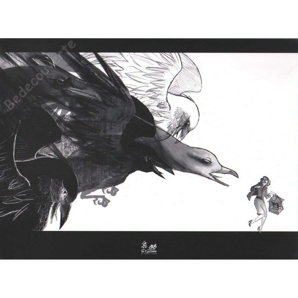 Pops - Les oiseaux