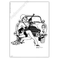 Meynet - Martin Pin-Up NB