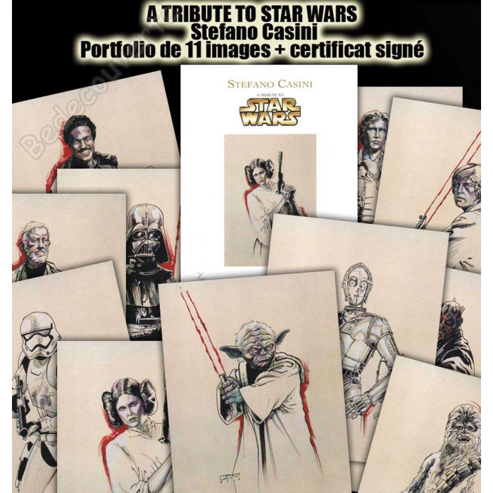 Casini - A tribute to Star Wars Portfolio