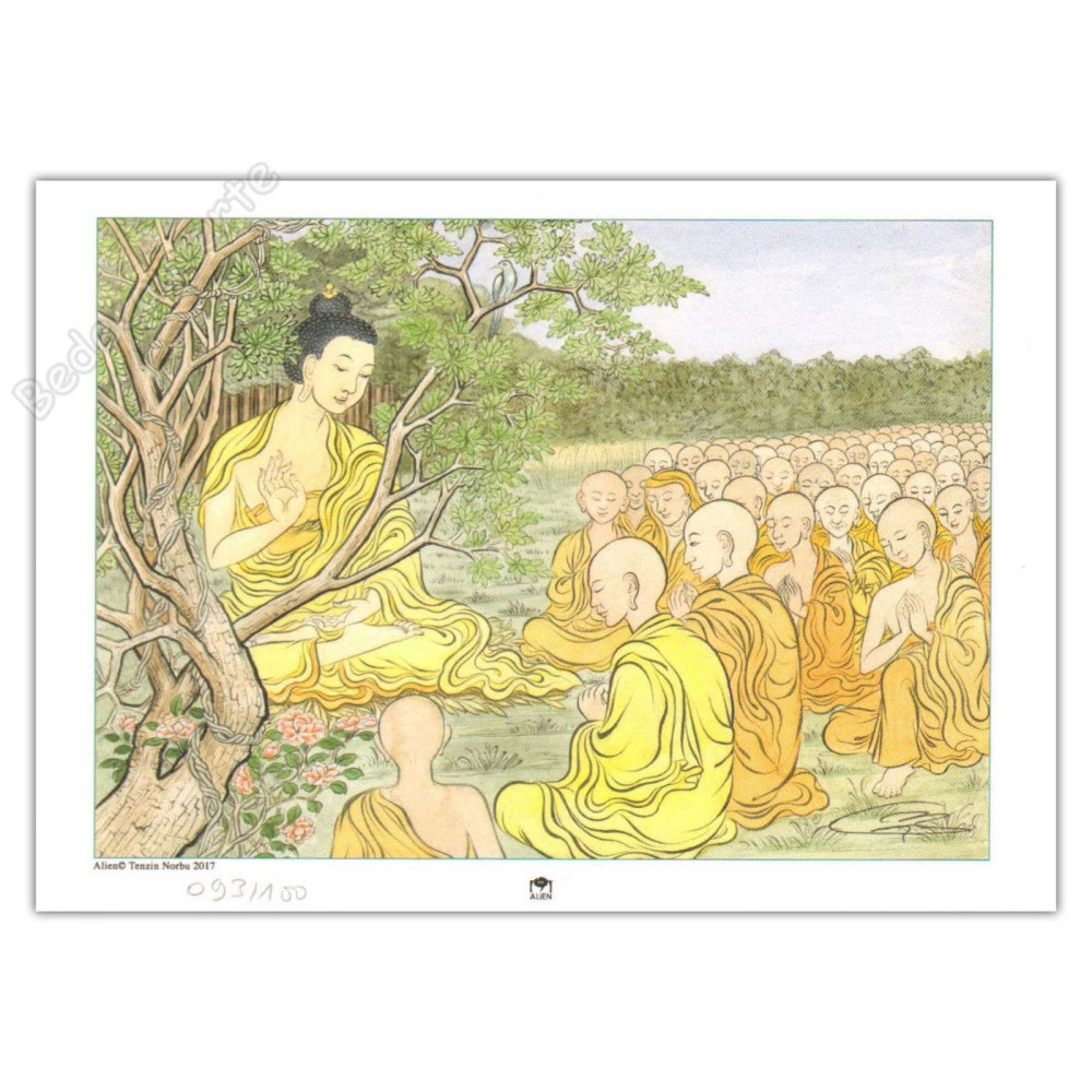 Tenzin Norbu - Ecole de la paix