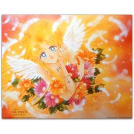 Takeuchi - Sailor Moon Fleurs 1000 Editions 40x50