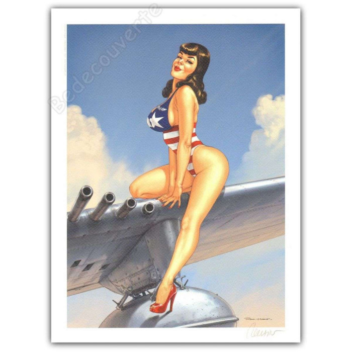 Romain Hugault - Pin-up Wings Avion USA Signé