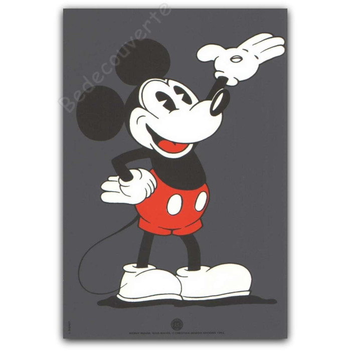 Disney - Mickey Mouse Wild Waves
