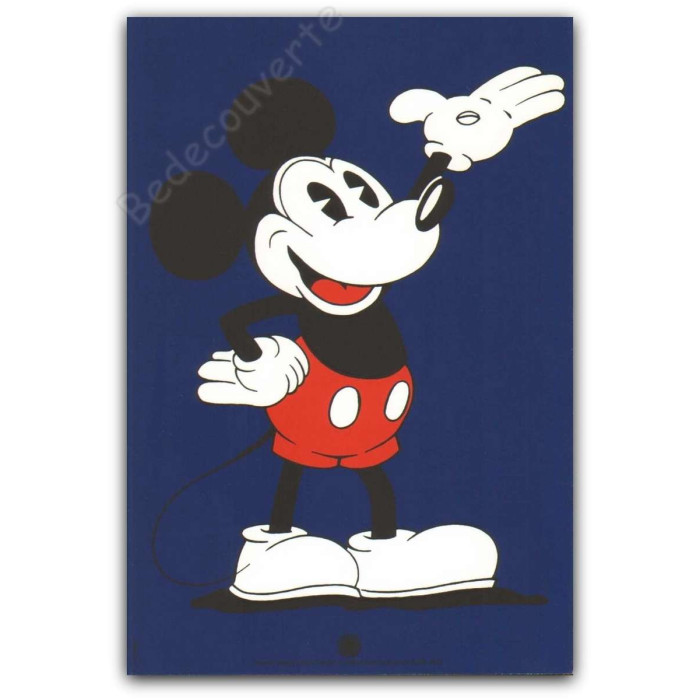 Disney - Mickey Mouse Wild Waves Bleu