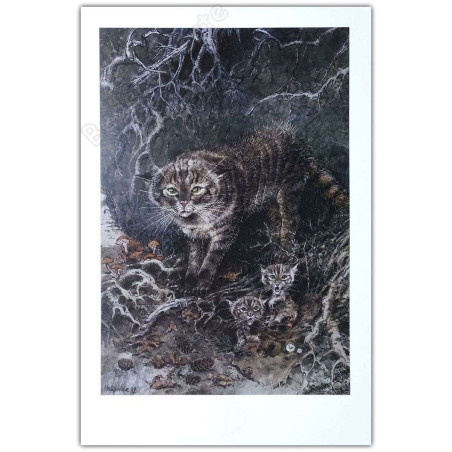 Hausman - Les chats sauvages 