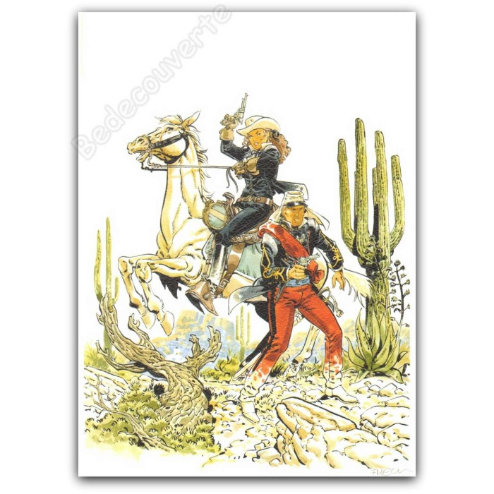 Meynet - Sauvage Cactus