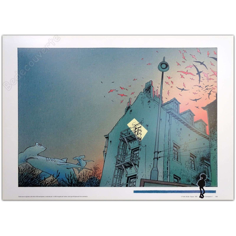 Frank - Broussaille Requin-marteau Frank - Broussaille Requin-marteau