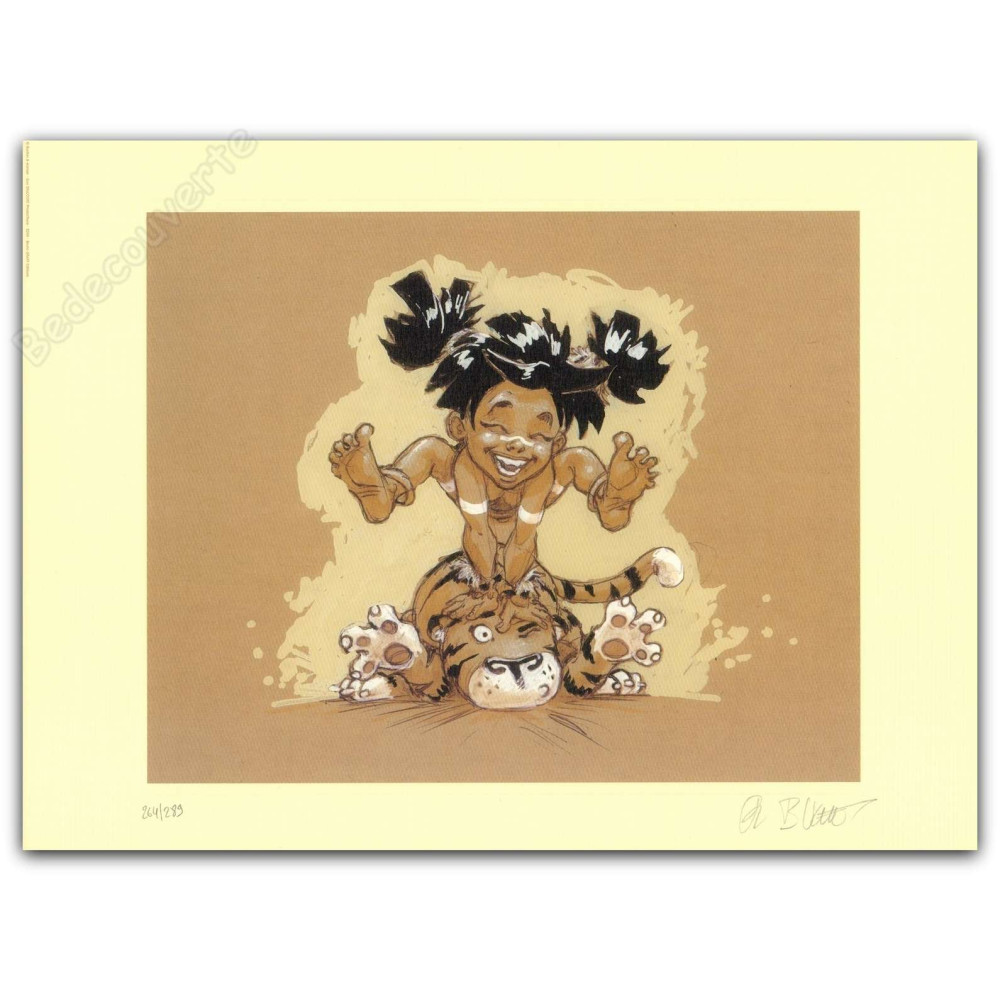 Buchet - Navis 2 Buchet - Navis 2