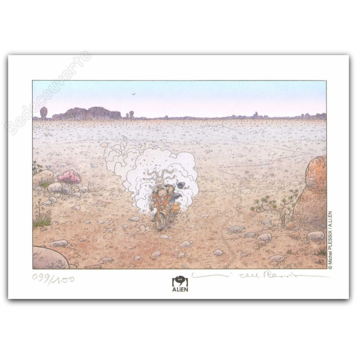 Plessix - Traversée du désert