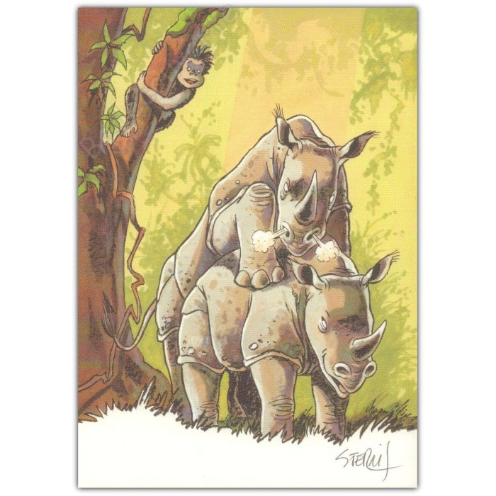 Sternis - Robinson Rhinocéroce