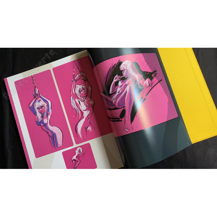 Dany - Artbook Dany dessine en toute liberté Version jaune 50 exemplaires