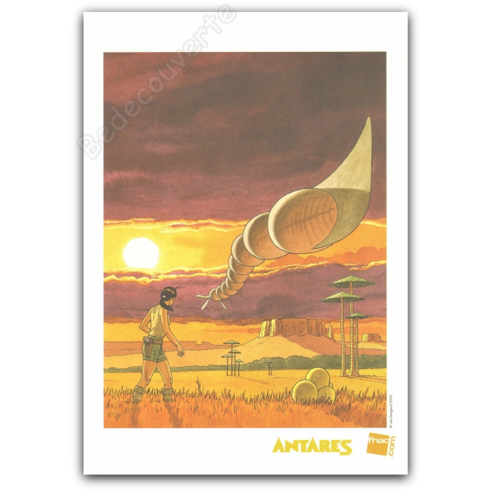 Leo - Antares 2007