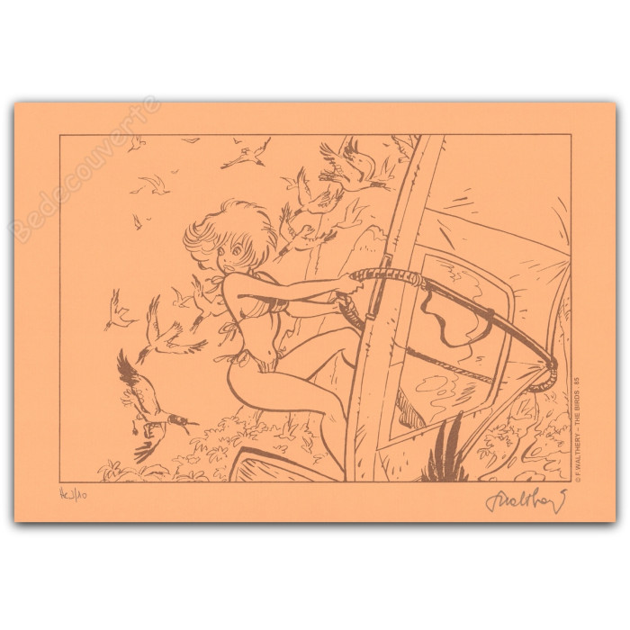 Walthéry - Natacha Planche à voile Orange
