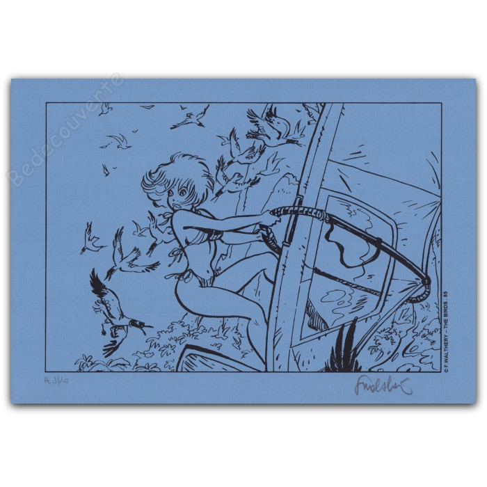 Walthéry - Natacha Planche à voile Bleu