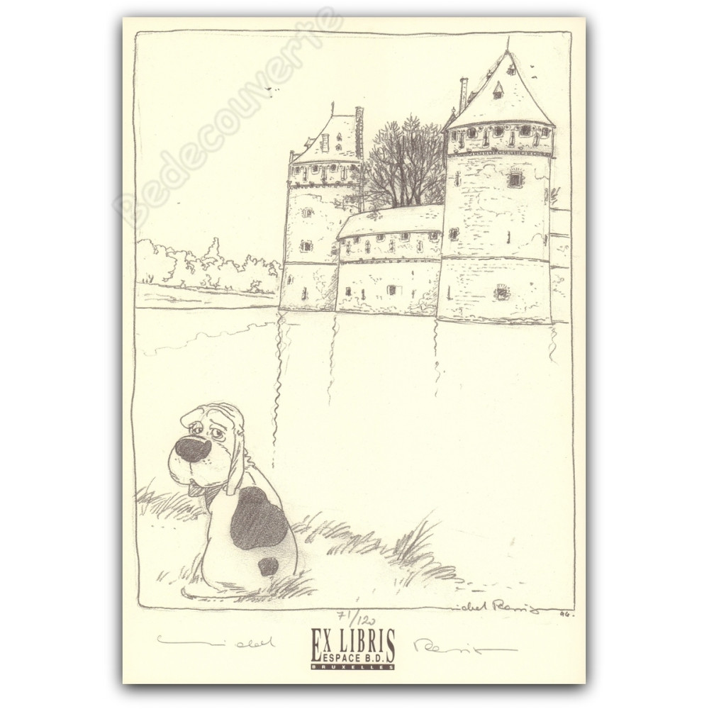 Plessix - Julien Boisvert Chien Plessix - Julien Boisvert Chien