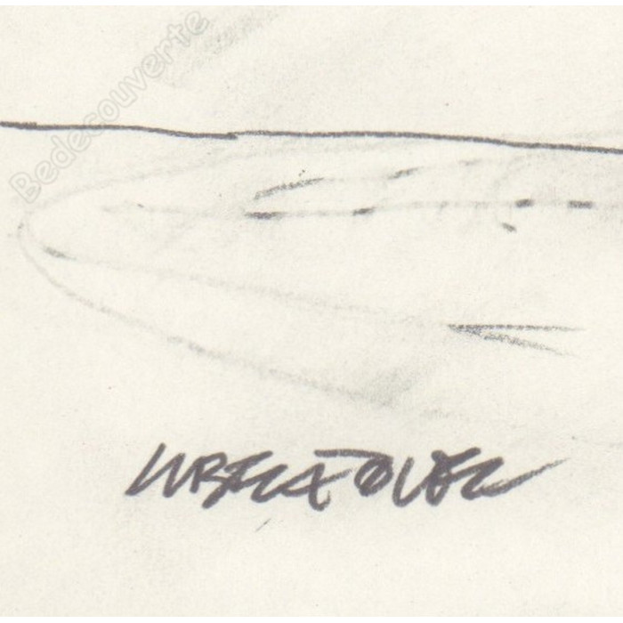 Liberatore Tanino - Dessin Original Portrait de femme 06