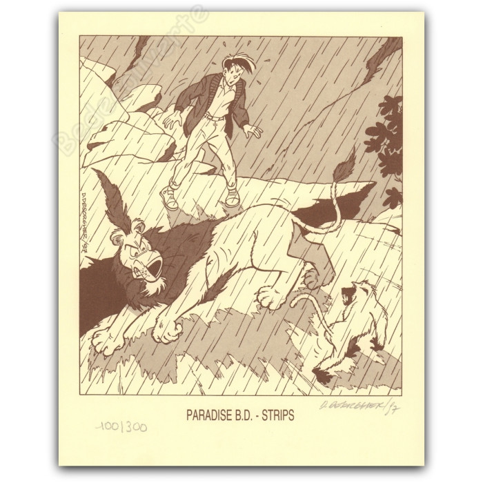 Desorgher - Jimmy Tousseul Paradise BD
