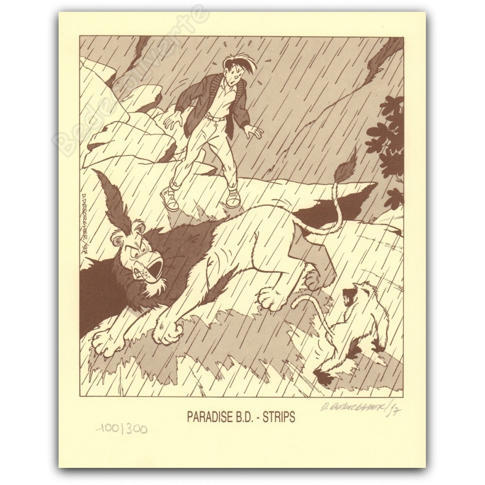 Desorgher - Jimmy Tousseul Paradise BD Desorgher - Jimmy Tousseul Paradise BD
