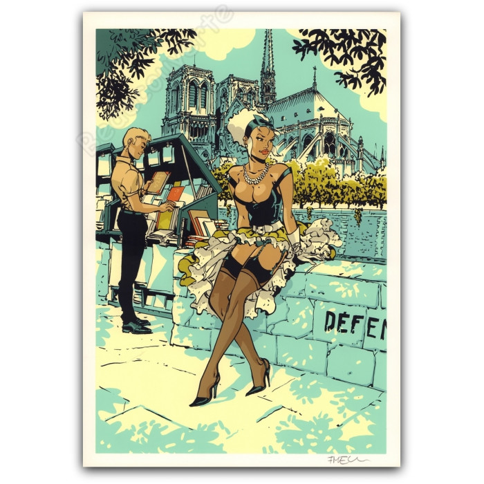 Meynet - Mirabelle Notre-Dame de Paris Bouquinistes