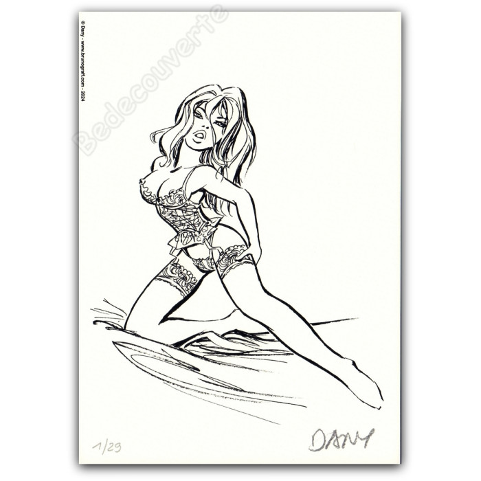Dany - Ensemble de 10 ex-libris Dentelles de Jarretelles 2024