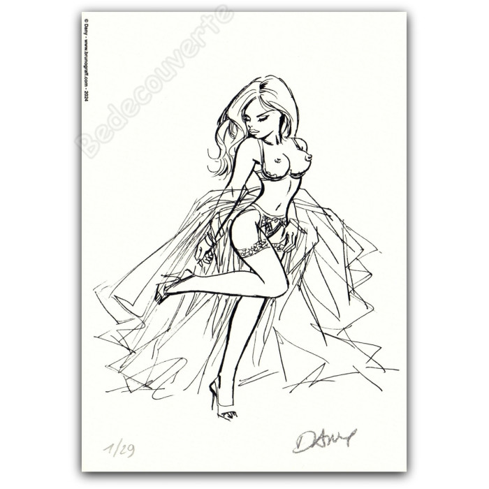 Dany - Ensemble de 10 ex-libris Dentelles de Jarretelles 2024