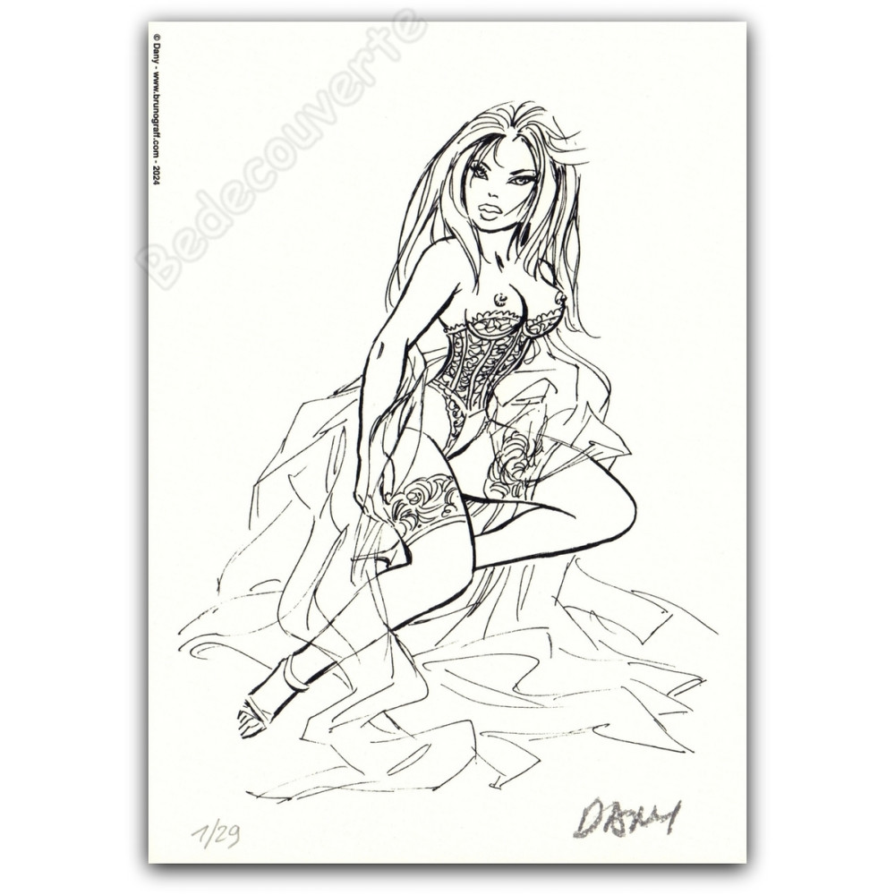 Dany - Pin-up 04 Dentelles de Jarretelles 2024