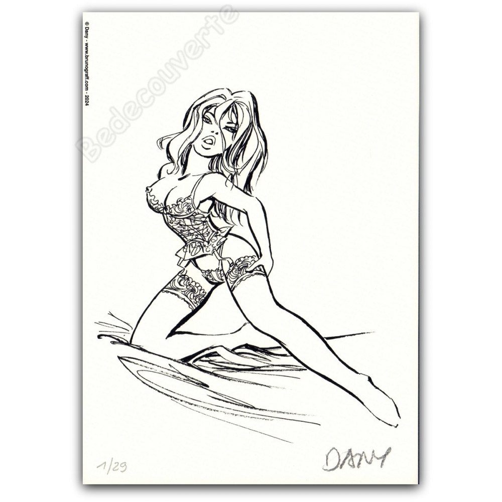 Dany - Pin-up 05 Dentelles de Jarretelles 2024