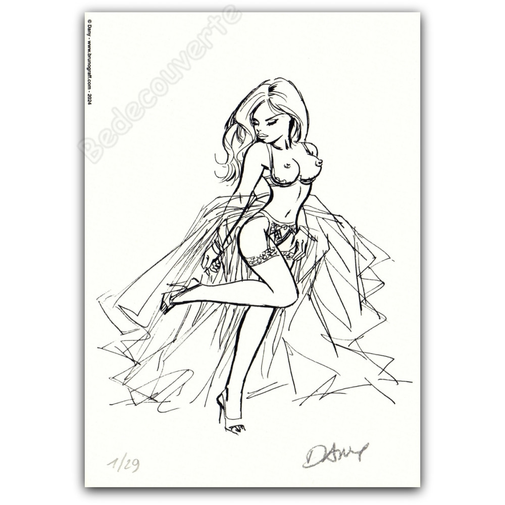 Dany - Pin-up 07 Dentelles de Jarretelles 2024