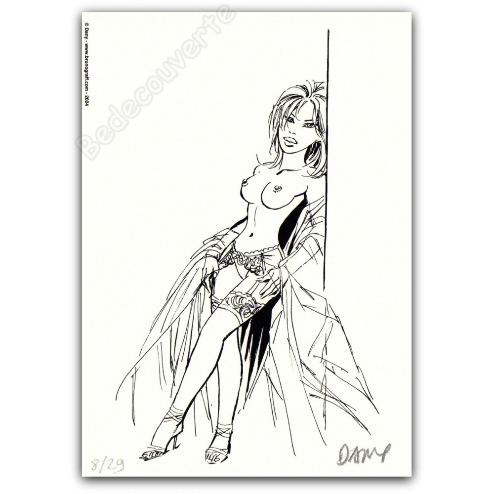 Dany - Pin-up 08 Dentelles de Jarretelles 2024