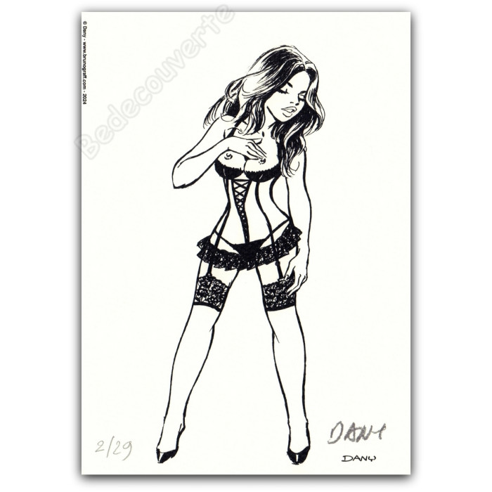 Dany - Pin-up 10 Dentelles de Jarretelles 2024