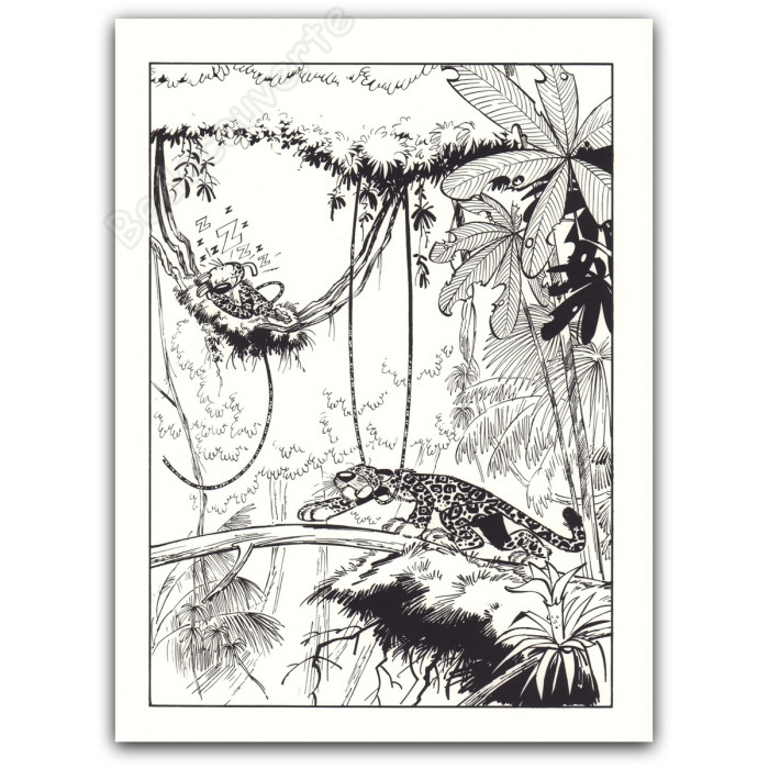Franquin - Le Marsupilami et le tigre
