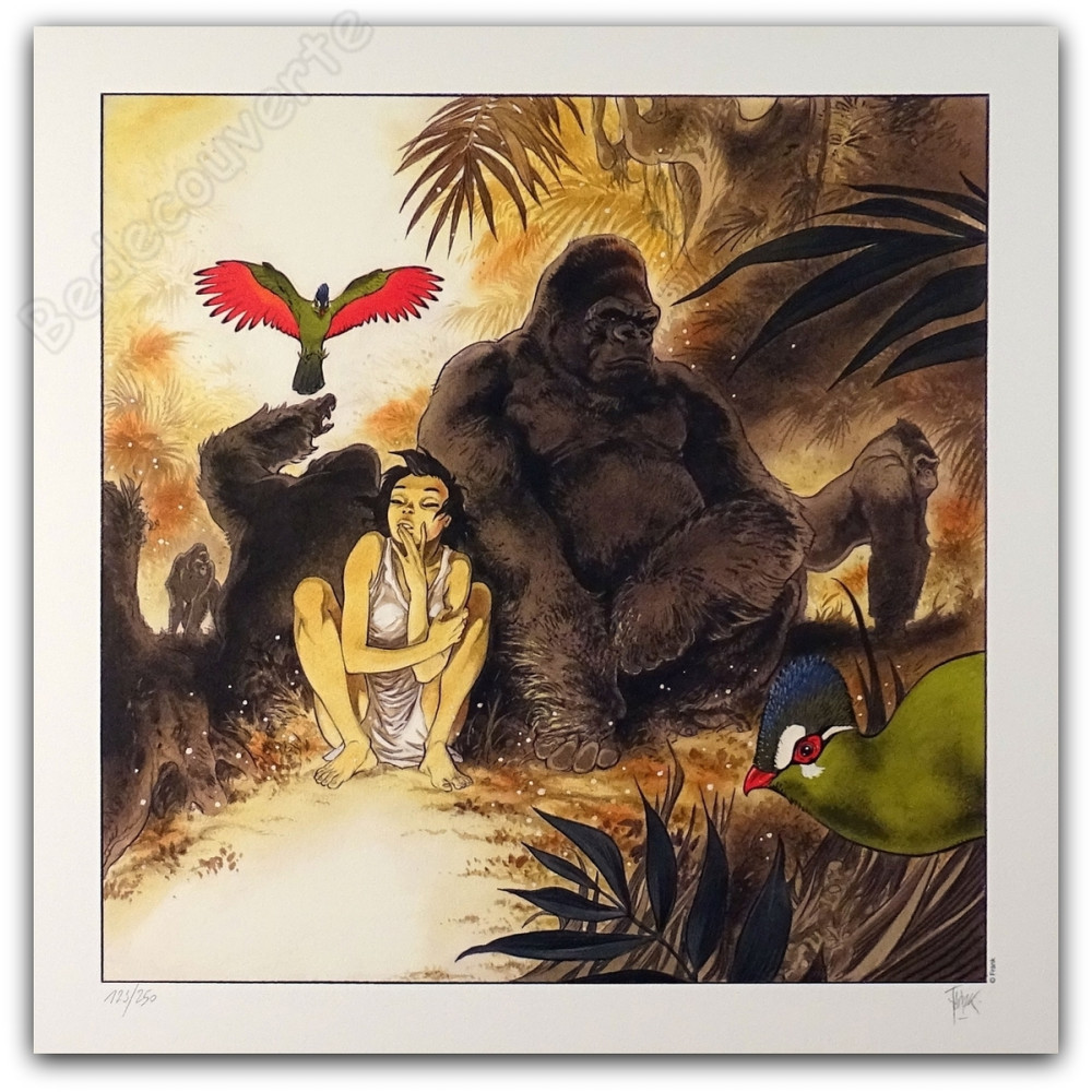 Frank Pé - Zoo Manon et le Gorille