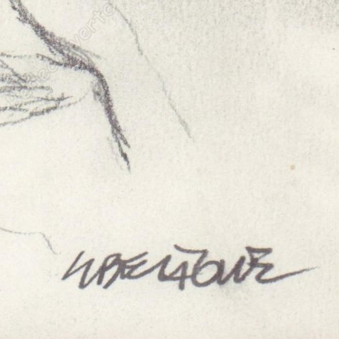 Liberatore Tanino - Dessin Original Portrait de femme - E